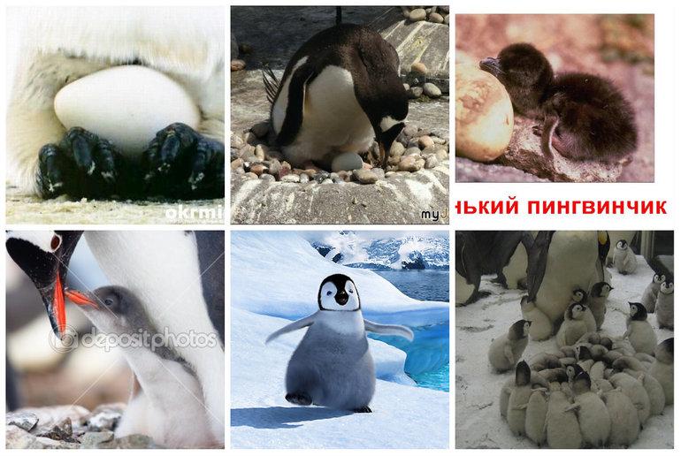 ТН