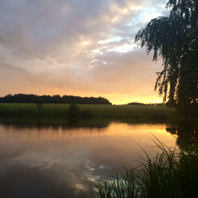 Июньские дачные фото зарисовки :)