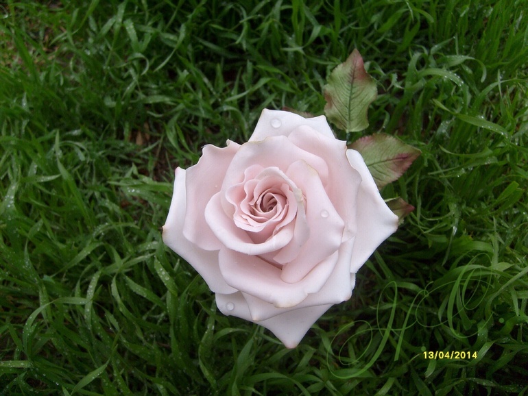 Побывала на курсах Алёны Орловой!!!!