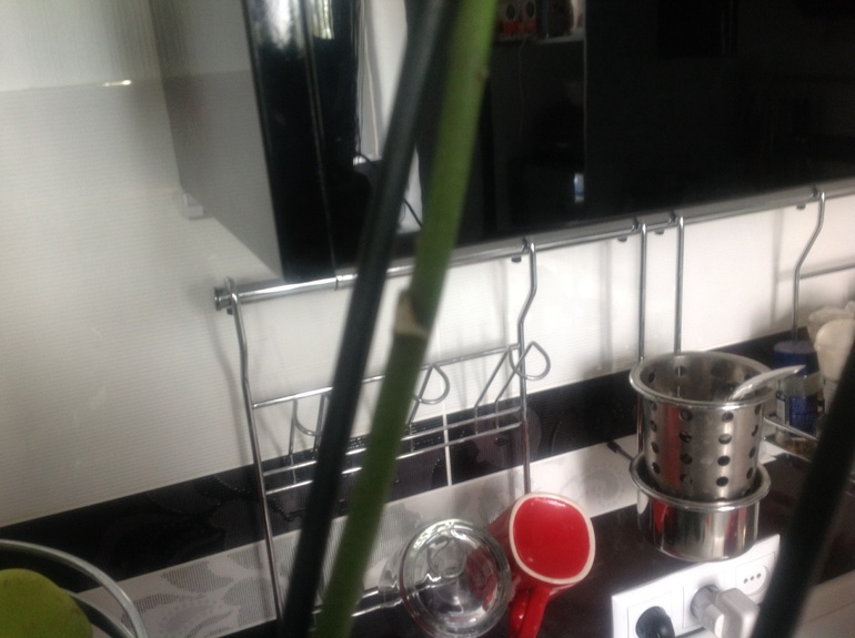 Знающие подскажите пожалуйста.