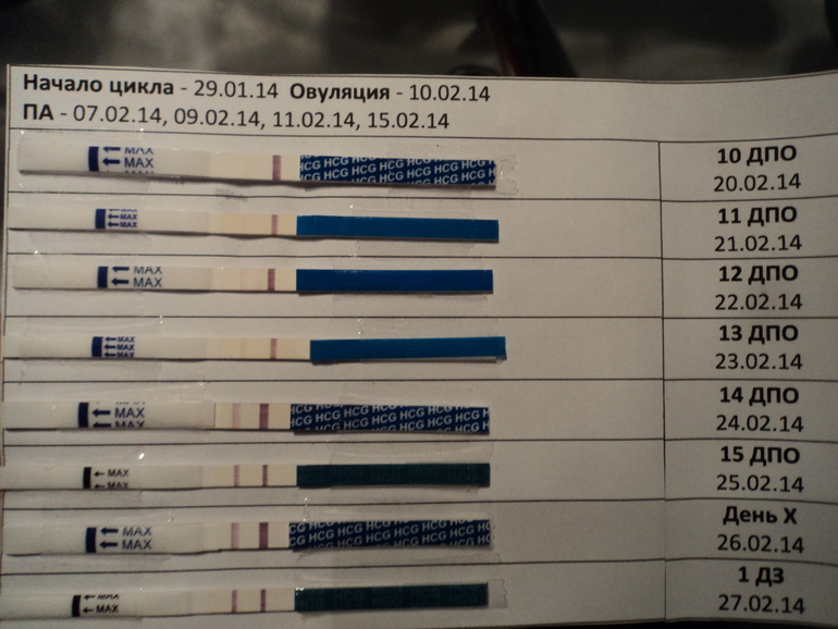 Вот и мои в копилочку! )))