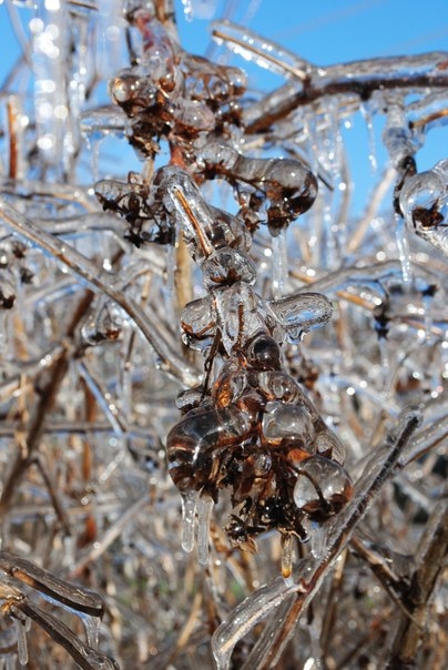 То что твориться за окном)