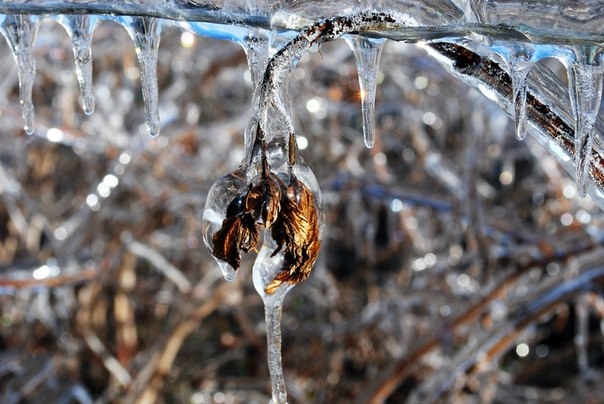 То что твориться за окном)