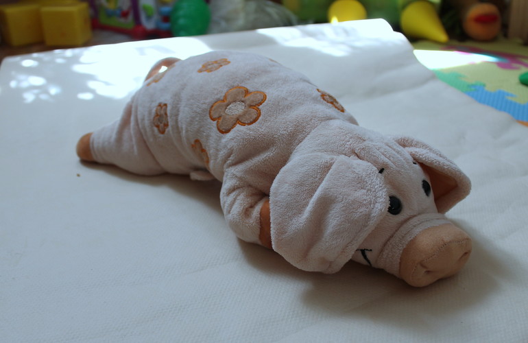 ТЗ ПОРОСЁНОК