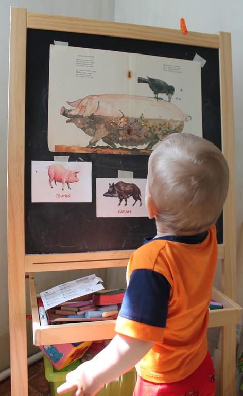 ТЗ ПОРОСЁНОК