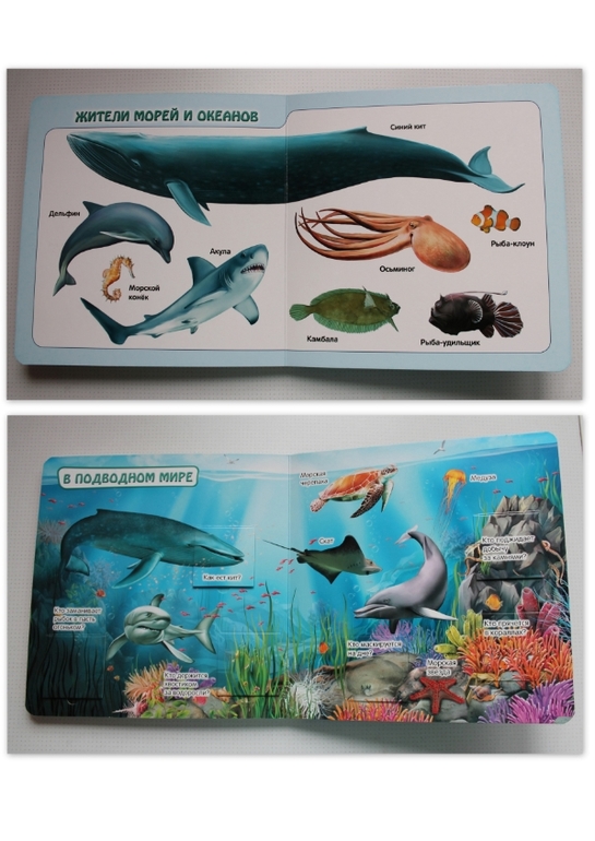 Наши новые КнигоПокупки.