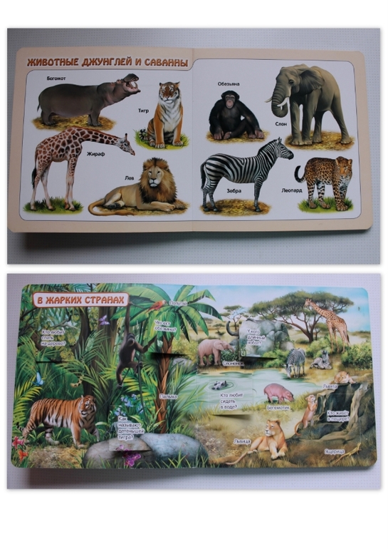 Наши новые КнигоПокупки.