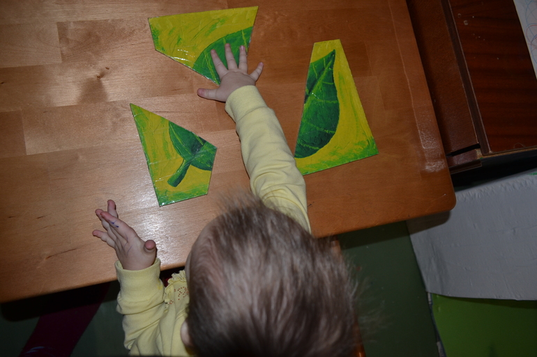 ТН Цвета. День 3 – Зеленый