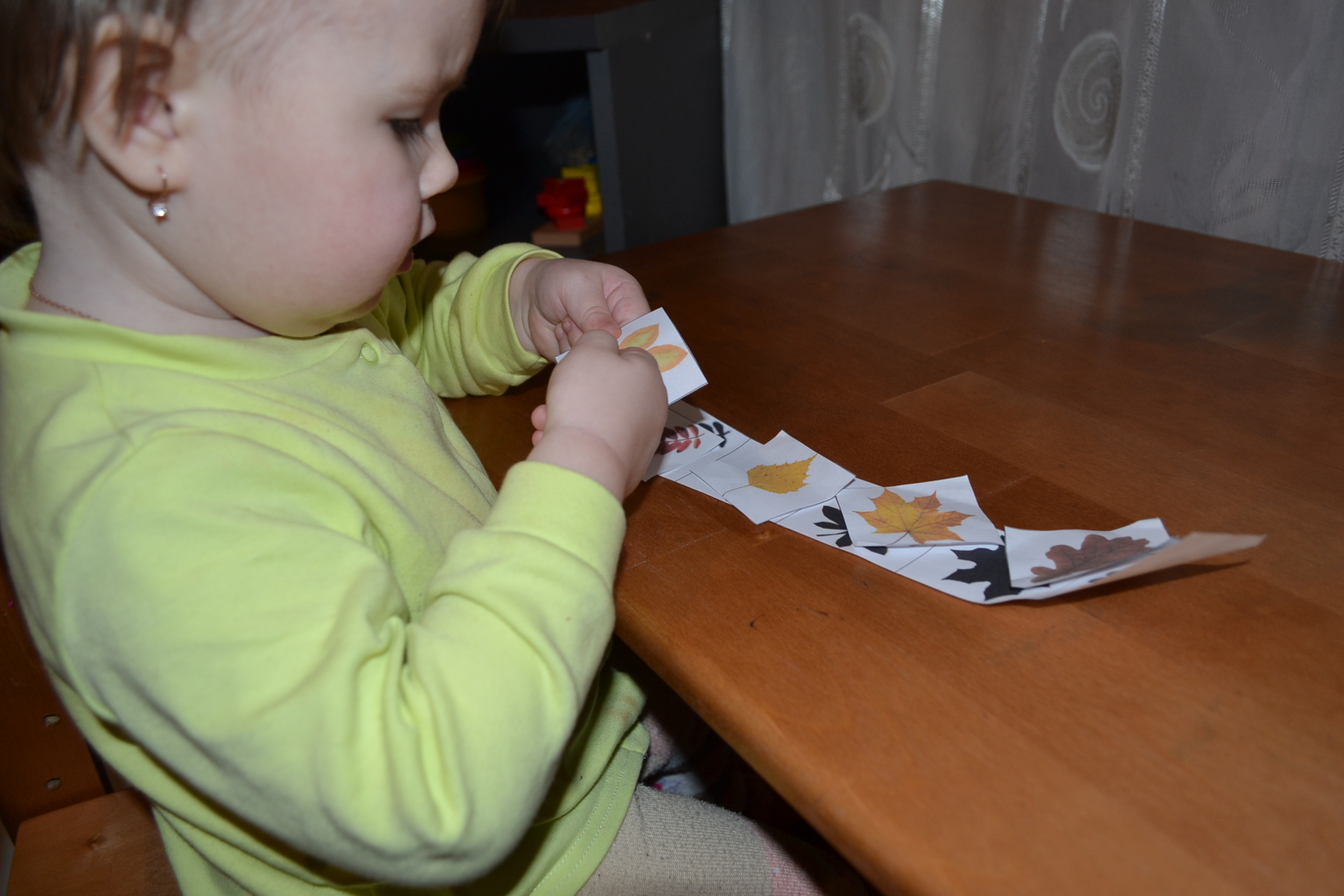 ТН "Деревья" день 1 - лиственные деревья