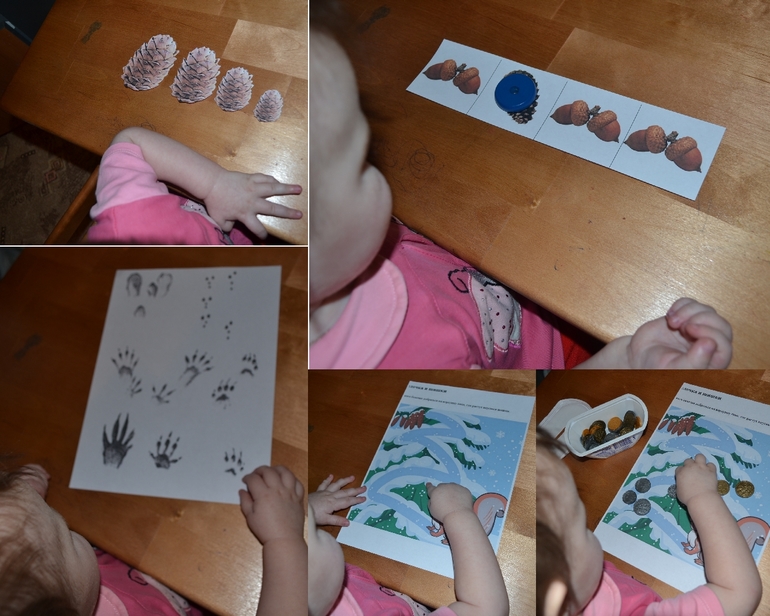 ТЗ «Как живет белка зимой»