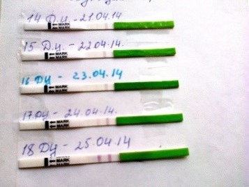 Ну теперь уже наверно можно приступать)))