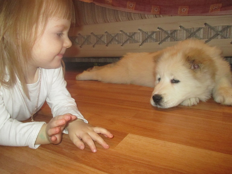 все назвали Найда