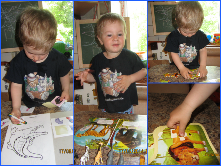 Как мы занимались ("Животные Африки")