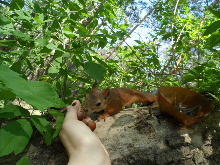 3 месяца Ирише