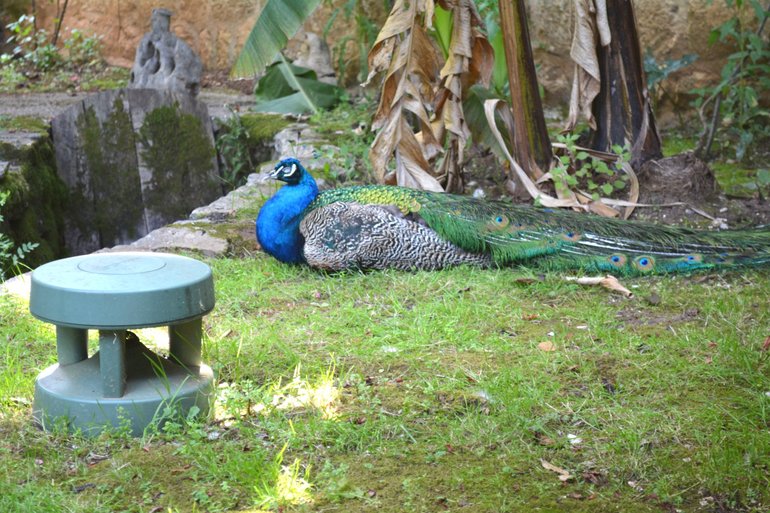 Отдых в Черногории - рай из которого не хочется возвращаться!!!