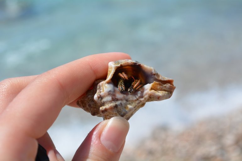 Отдых в Черногории - рай из которого не хочется возвращаться!!!