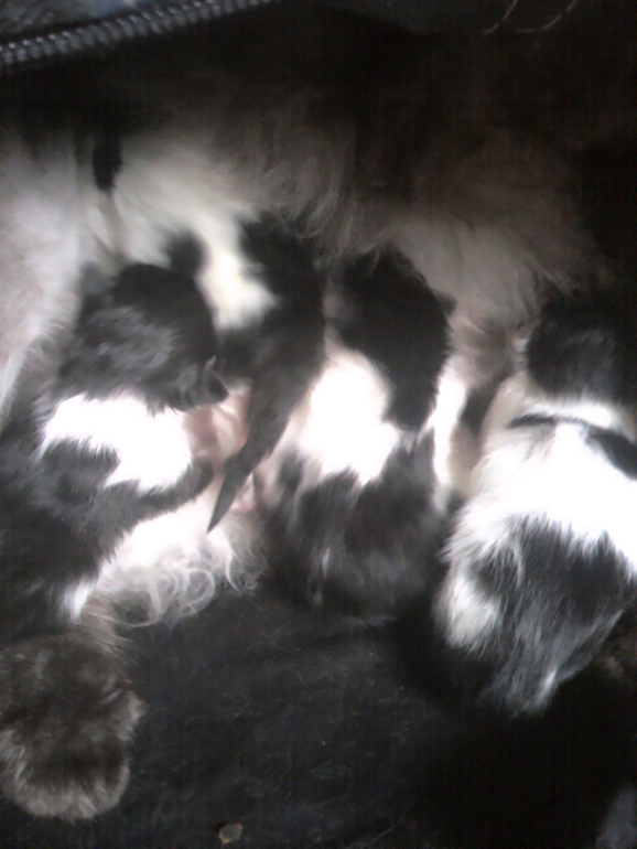 26 неделек и фото пузика))