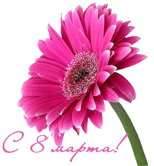 Дорогие девушки, женщины, мамочки, бабушки!