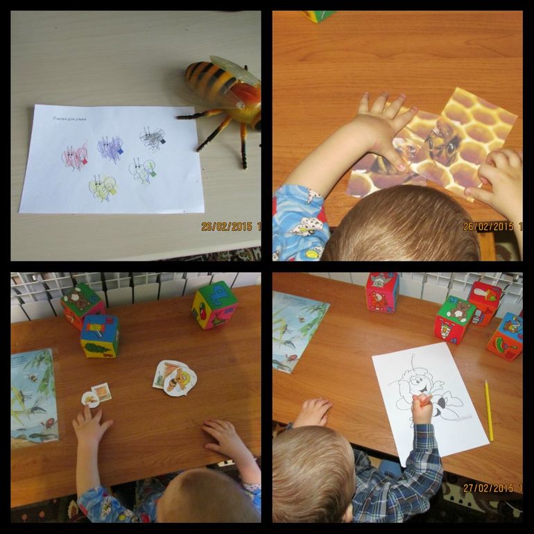 ТН Насекомые. День 3.