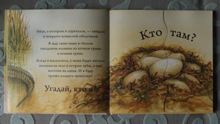 Кто спрятался? Иллюстрации Гая Троутона.