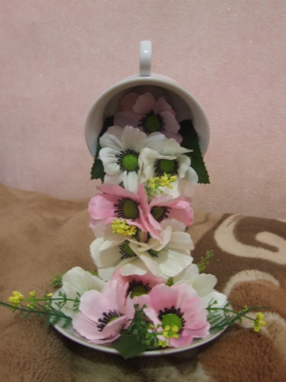 мои первые чашечки