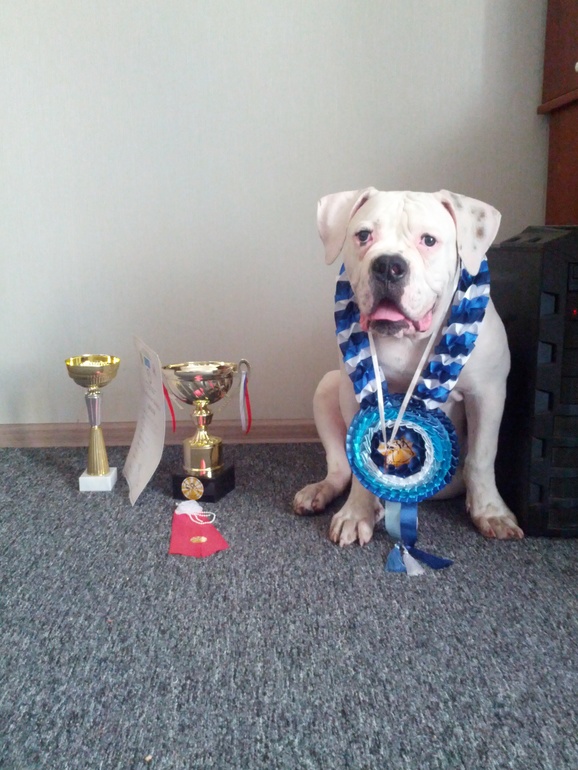 Просто фотки.