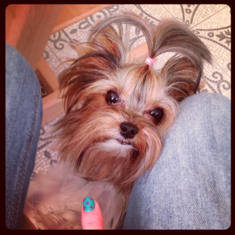 Мои зверята)))