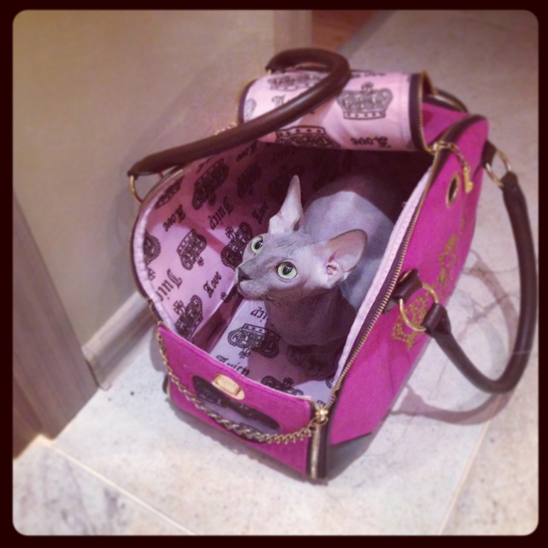 Все готовы)))