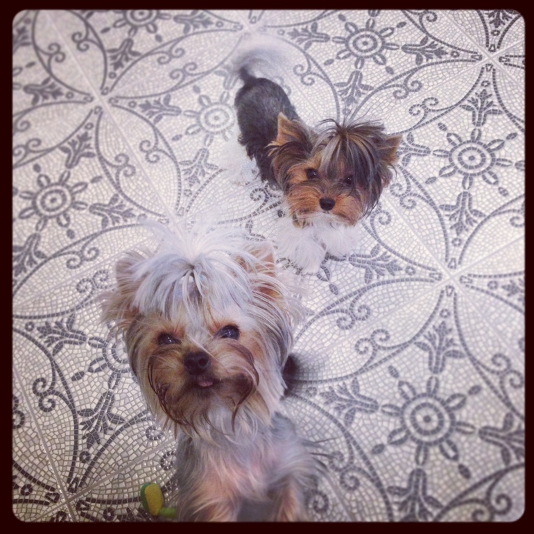 Девочки мои))