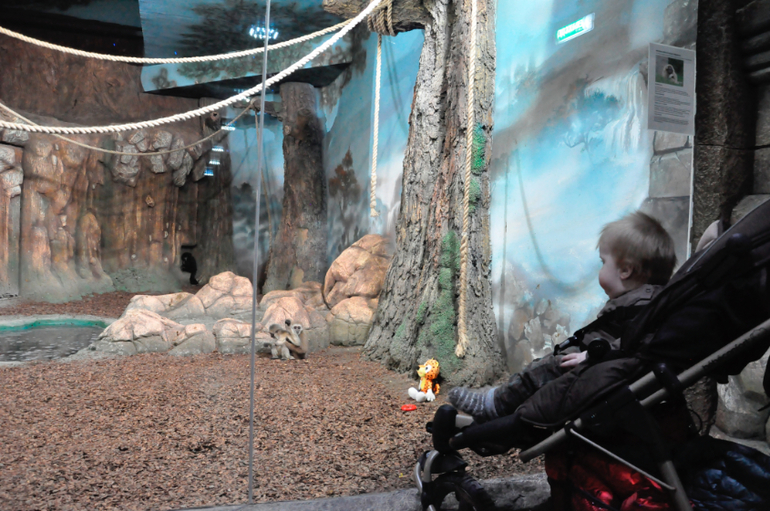 Сходили в океанариум в РИО