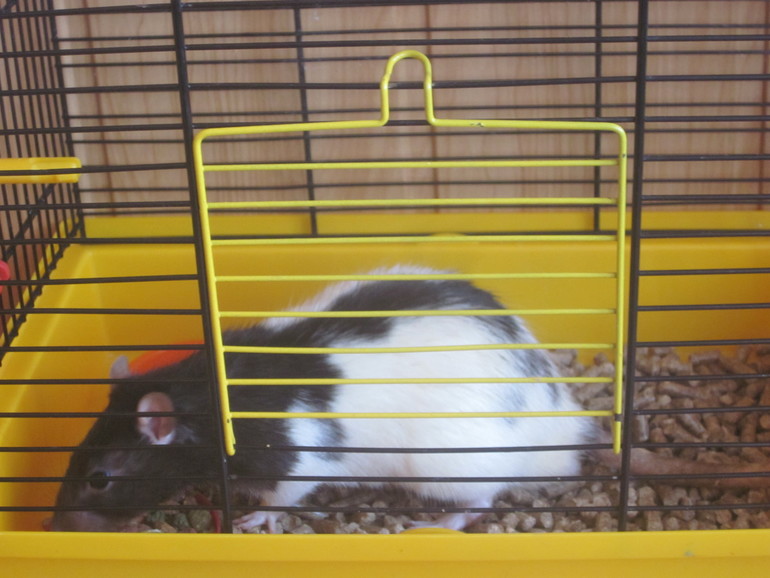 Взлёт №69 День 28