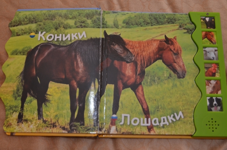 Наша библиотека в 1 год и 1 месяц