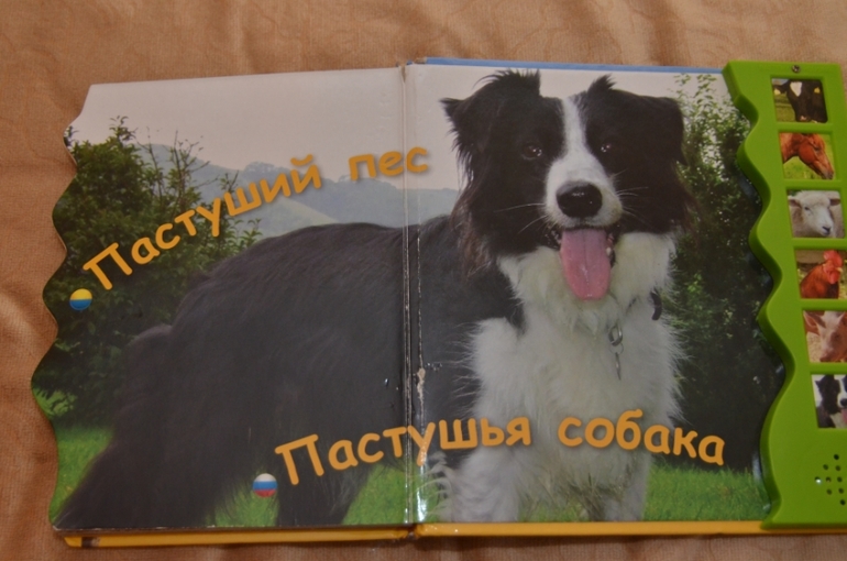 Наша библиотека в 1 год и 1 месяц