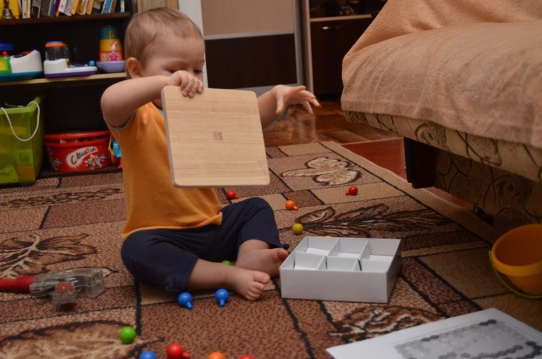 Отчет по ФМ "Домашние любимцы" - День 2 "Котята"