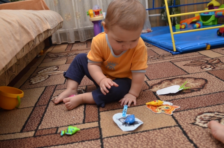 Отчет по ФМ "Домашние любимцы" - День 2 "Котята"