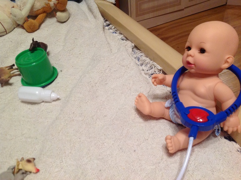 ФМ "Домашние животные". День шестой. Обобщающий.