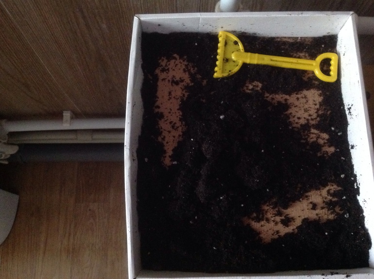 ФМ "Овощи". День первый. Страна Огородия.