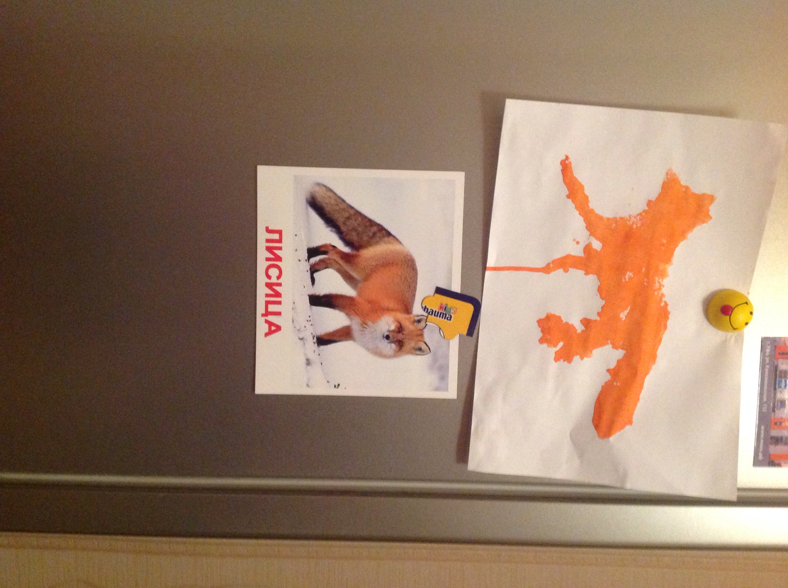 ТН "Лесные друзья". День первый. Лиса.