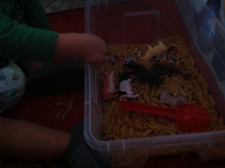 ФМ "Домашние животные". День первый.