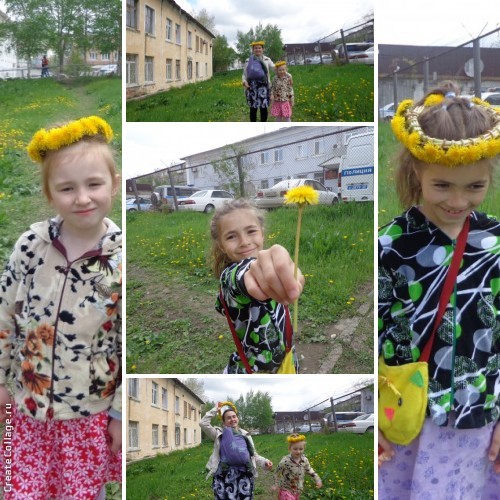 Майские одуванчики