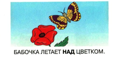 ТН Насекомые
