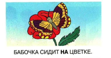 ТН Насекомые