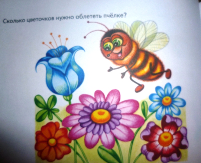 ТН Насекомые
