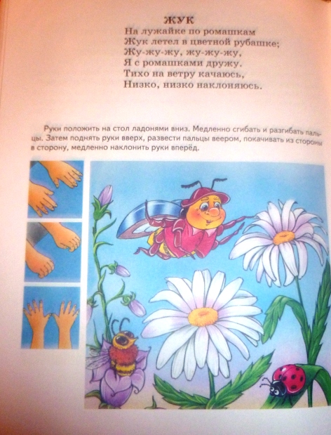 ТН Насекомые