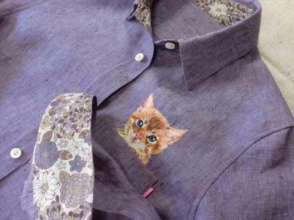 Котики в кармашках