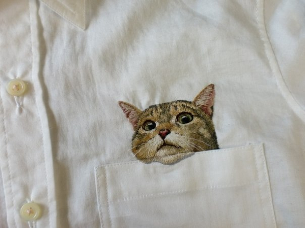Котики в кармашках