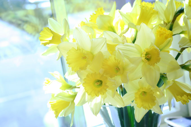 Мои любимые цветы))))