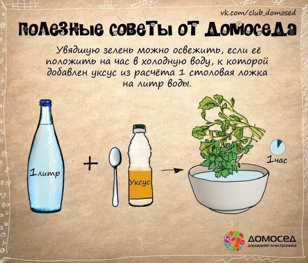 Полезные советы  от домоседа