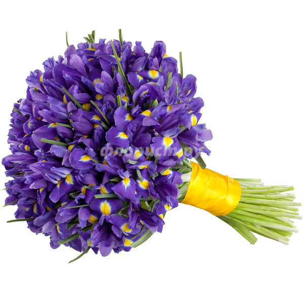 Мои любимые цветы))))