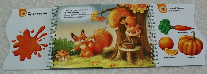 Наши новые книжки-картонки